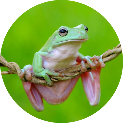 합리적인 가격으로
한 번 더 도약